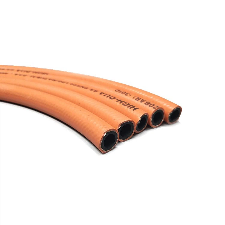 haikuo LPG hose 22.8.30 (2)